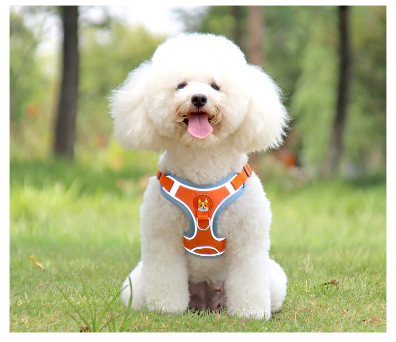 https://fulmo-img-server.com/wonderfulharness/3ec4e97a-75e7-4fab-ba72-944d56f7cc2a.jpg