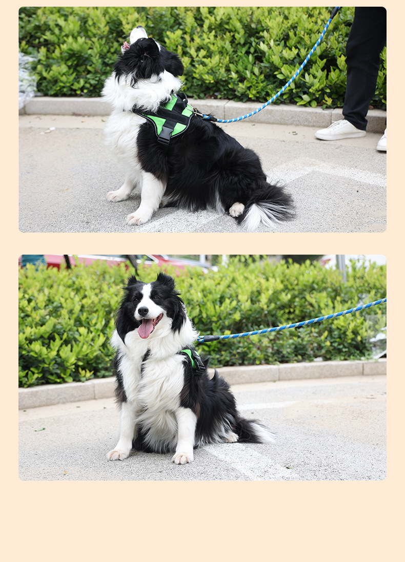 犬 ハーネス やさしさ包むふわふわハーネス