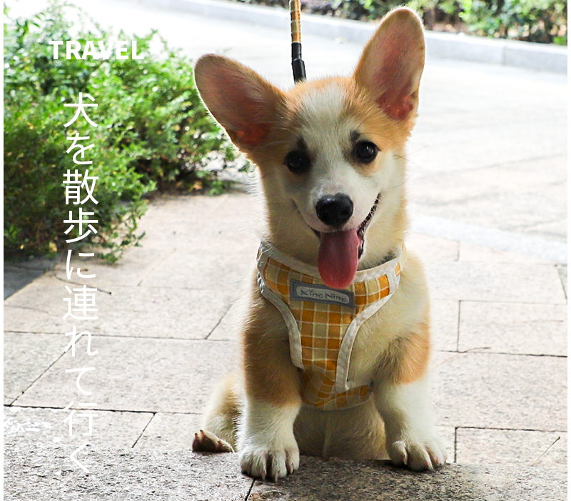 犬 ハーネス 格子柄やすらぎハーネス