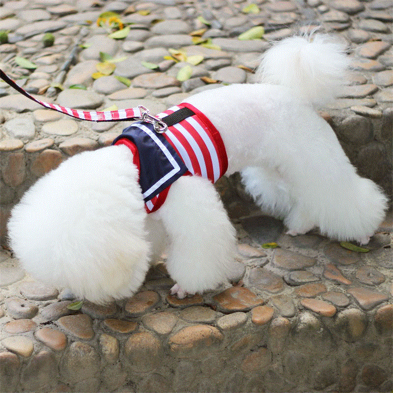 https://fulmo-img-server.com/wonderfulharness/3f7e1724-d64d-42cd-b28c-a8abdc9568de.jpg