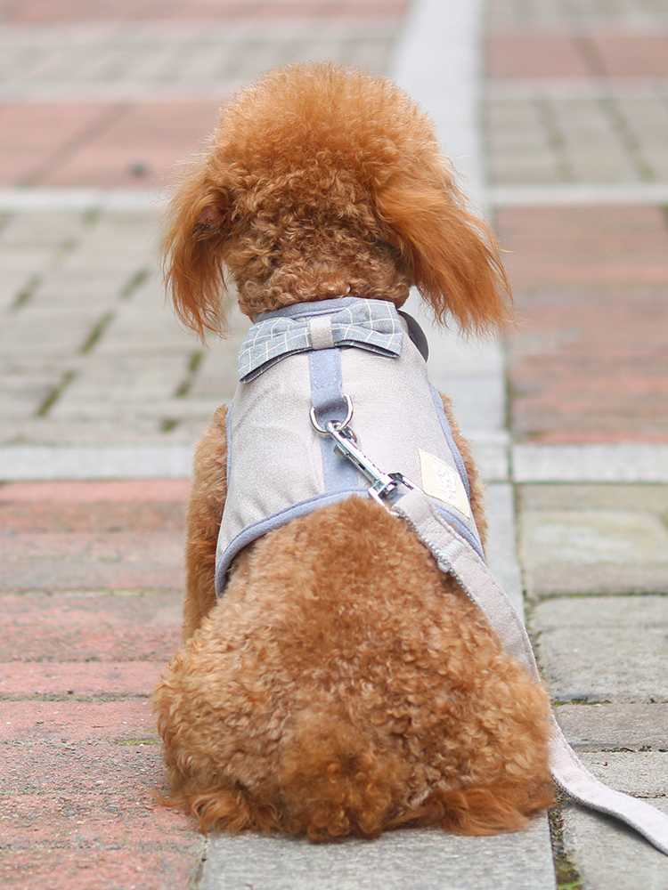 犬 ハーネス リボン付きメッシュハーネス