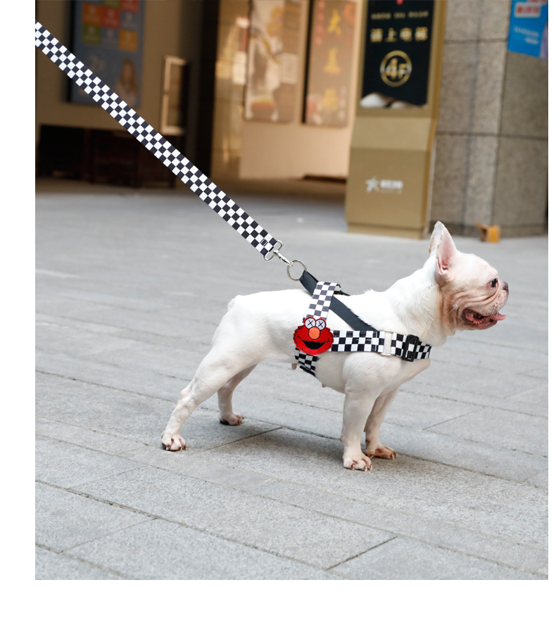 犬 ハーネス モダンチェッカーハーネス