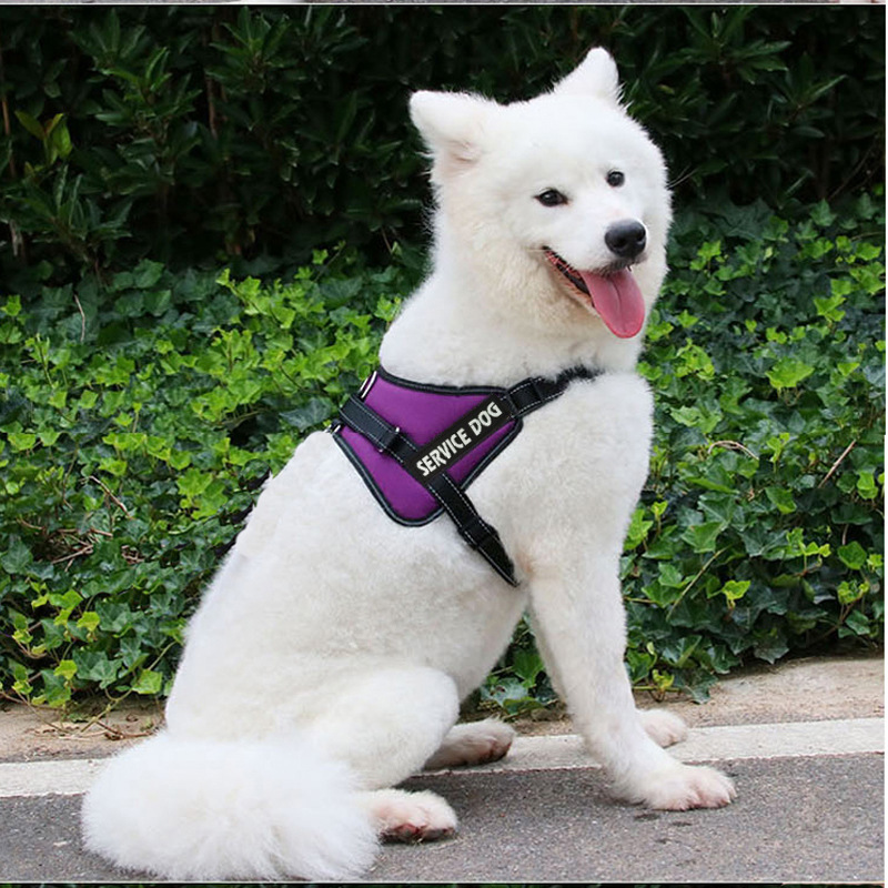 犬 ハーネス 介助犬用プロフェッショナルハーネス