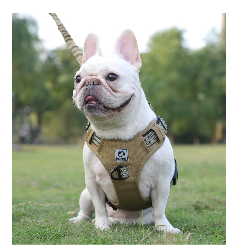 犬 ハーネス こだわり職人の匠ハーネス