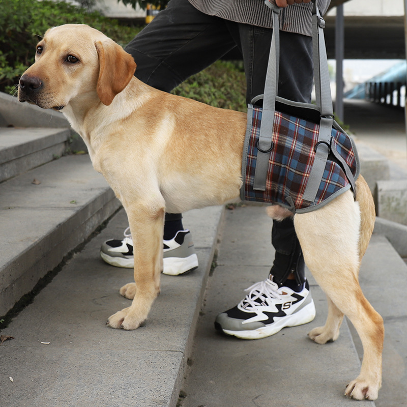 犬 ハーネス おでかけ安心ハーネス