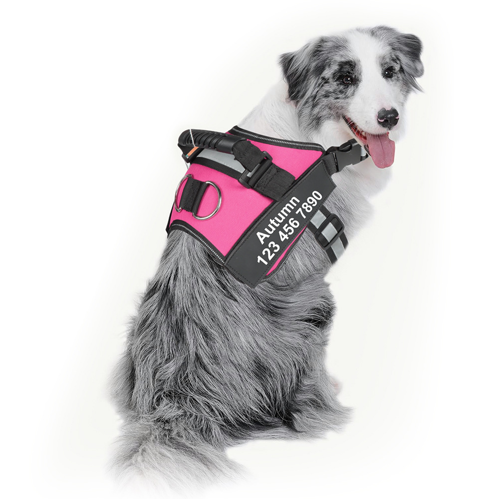犬 ハーネス 快適お散歩カスタムフィットハーネス