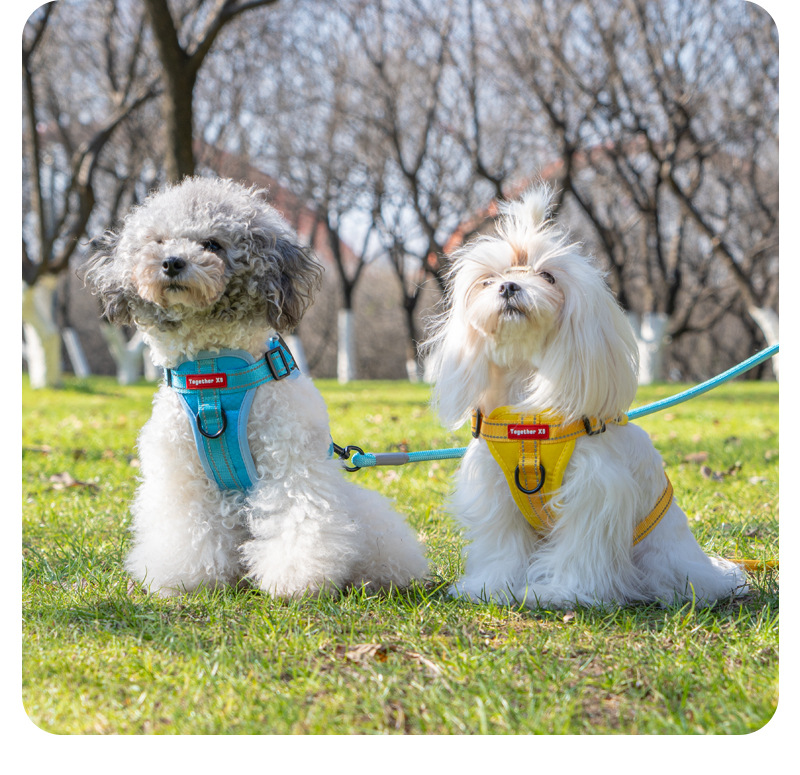 犬 ハーネス なめらか安心ハーネス