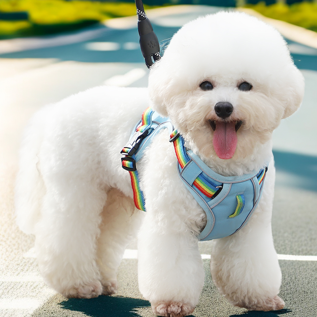 犬 ハーネス 彩虹ゆらり やさしいフィットハーネス