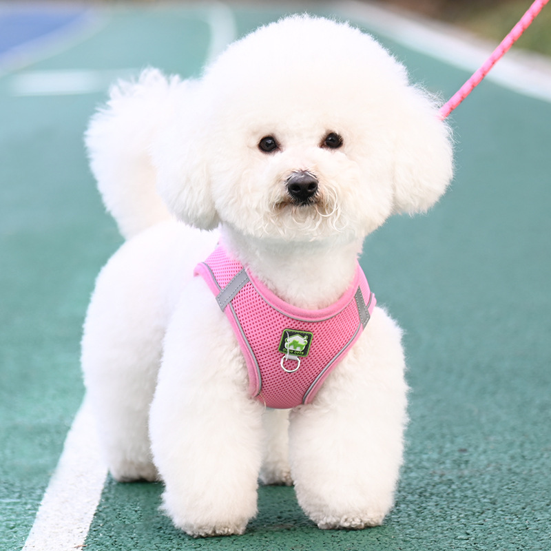 犬 ハーネス やさしい呼吸メッシュハーネス