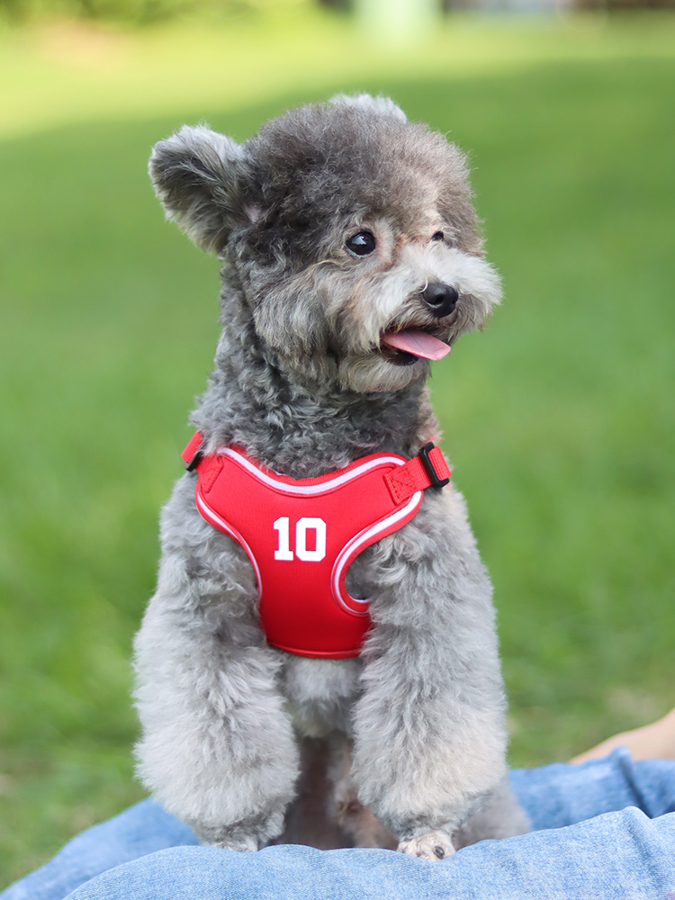 犬 ハーネス スポーティ背負子 ナンバーシリーズ