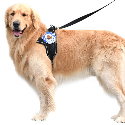 https://fulmo-img-server.com/wonderfulharness/41dbc92a-6735-4694-86f3-8d9c5783bd87.jpg