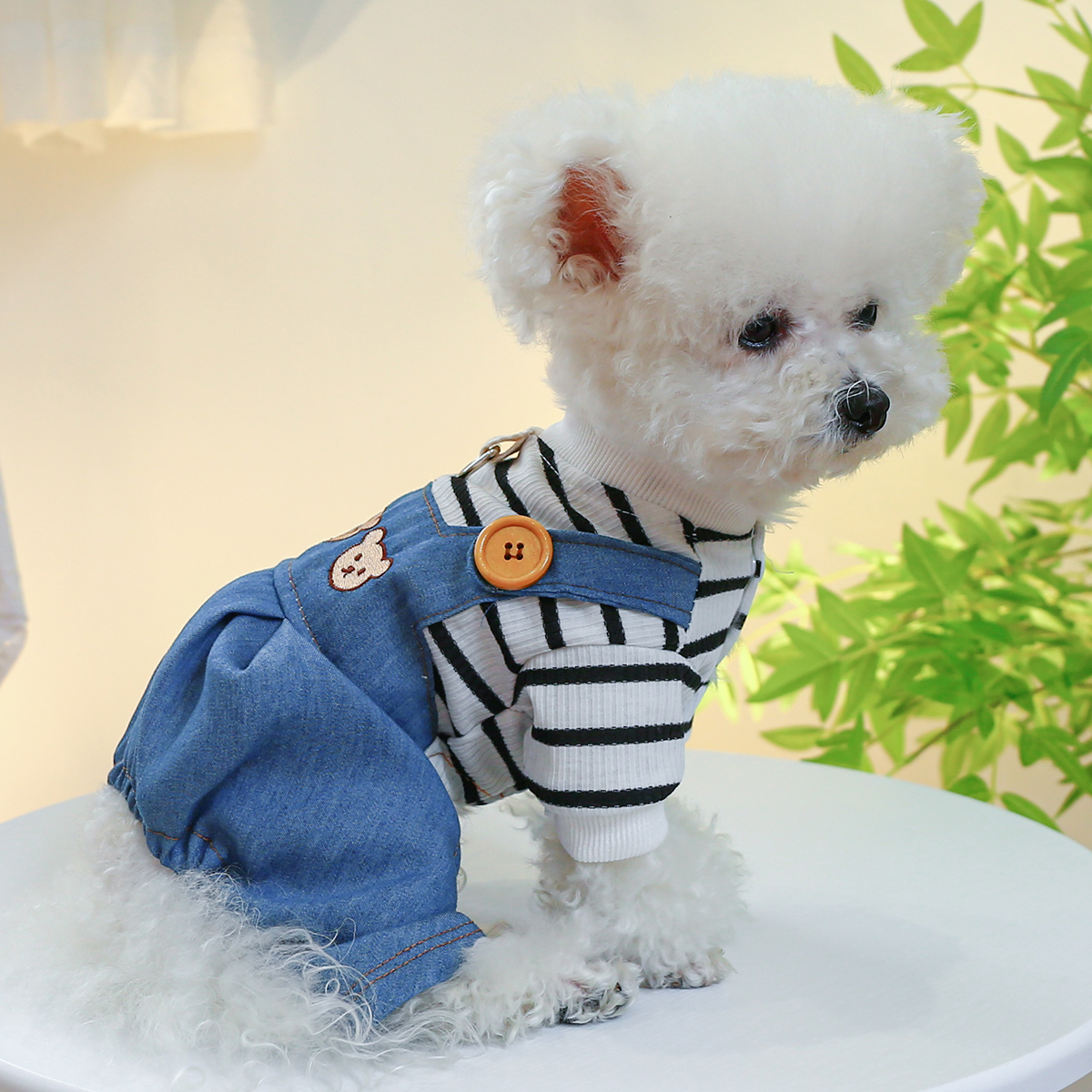 犬 ハーネス 生成エラーです