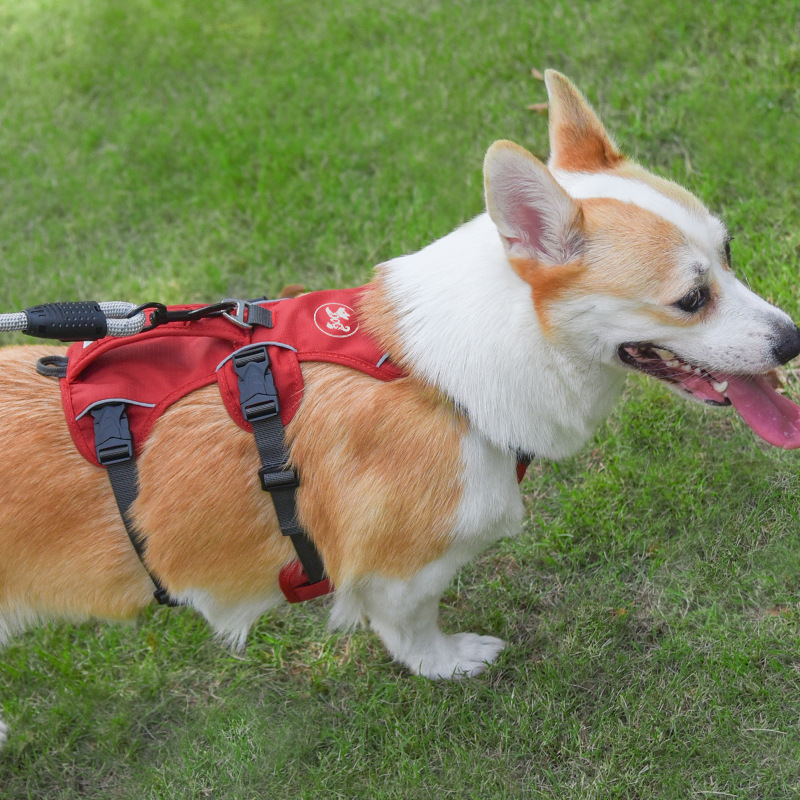 犬 ハーネス あんしん快適ハーネス