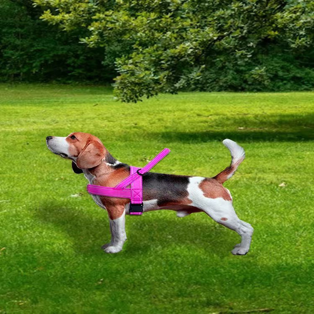 犬 ハーネス やさしい心地 のびのびハーネス
