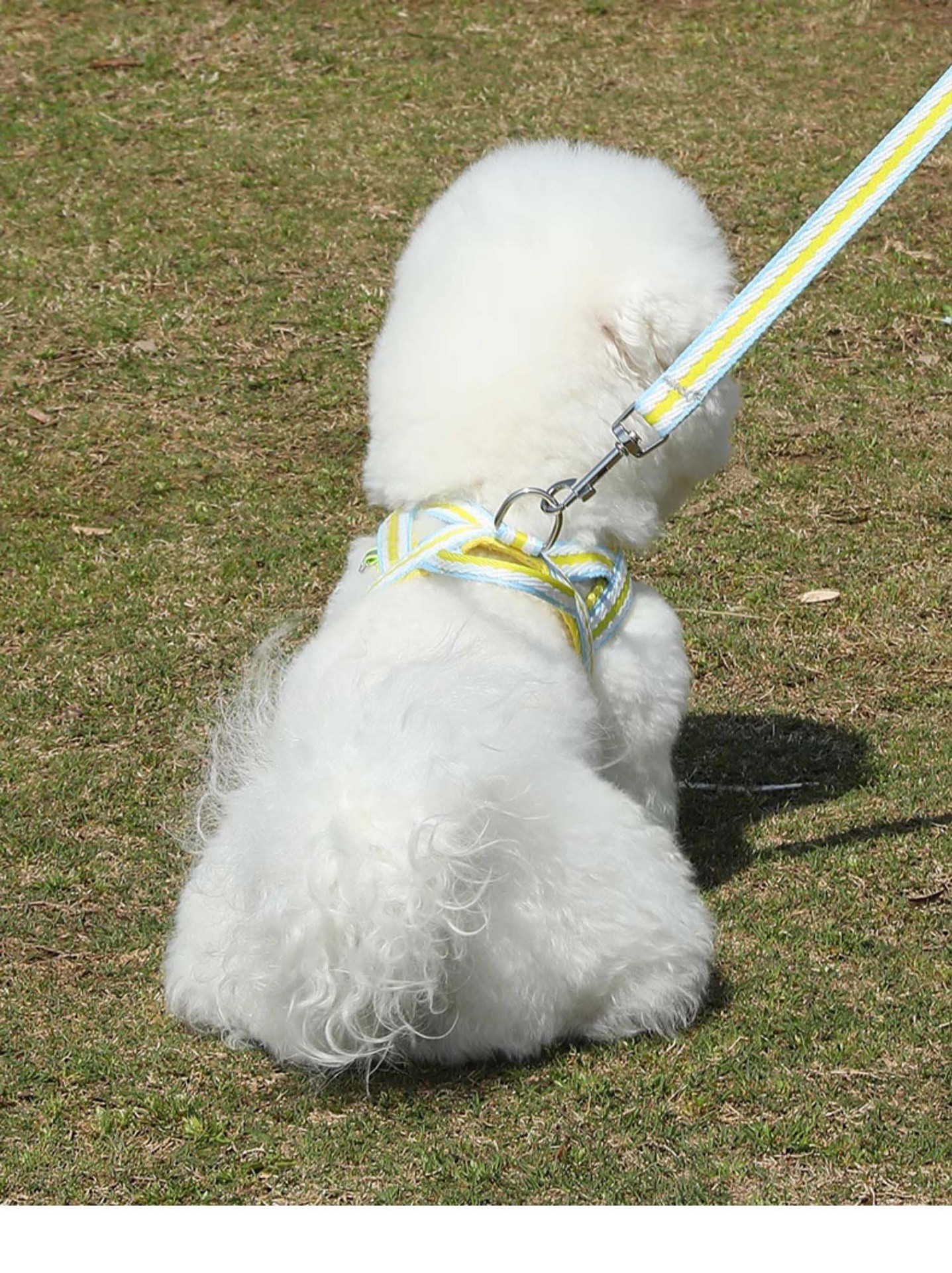犬 ハーネス やさしさ包む ふわふわハーネス