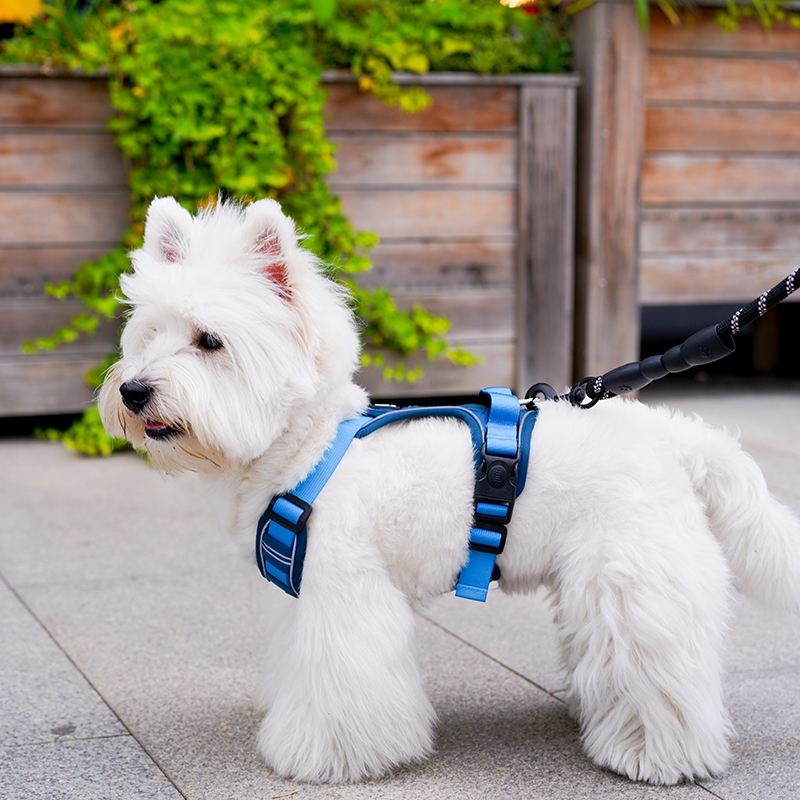 犬 ハーネス ふわもこペット用ハーネス