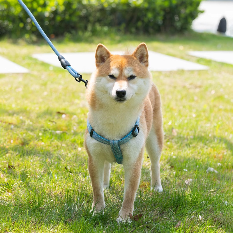 犬 ハーネス やさしい呼吸ハーネス