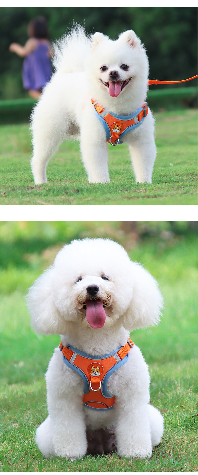 犬 ハーネス なめらか安心ハーネス