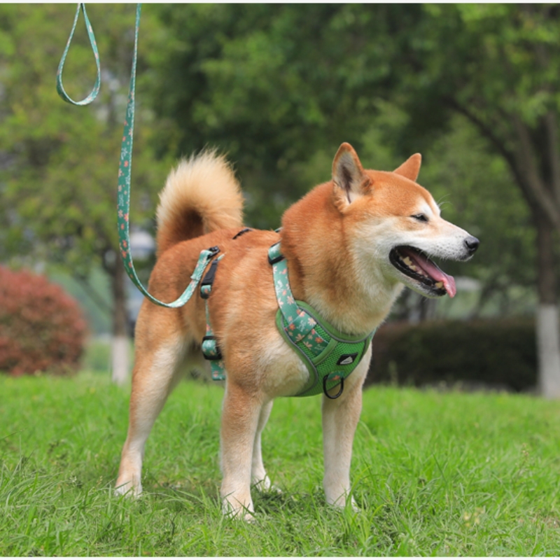 犬 ハーネス 涼風フラワーメッシュハーネス