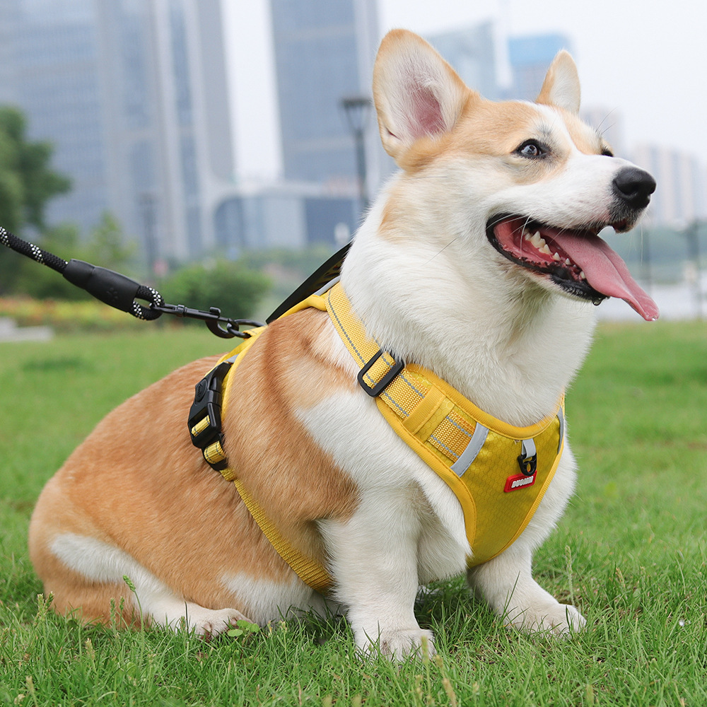 犬 ハーネス ゆとりの散歩ハーネス