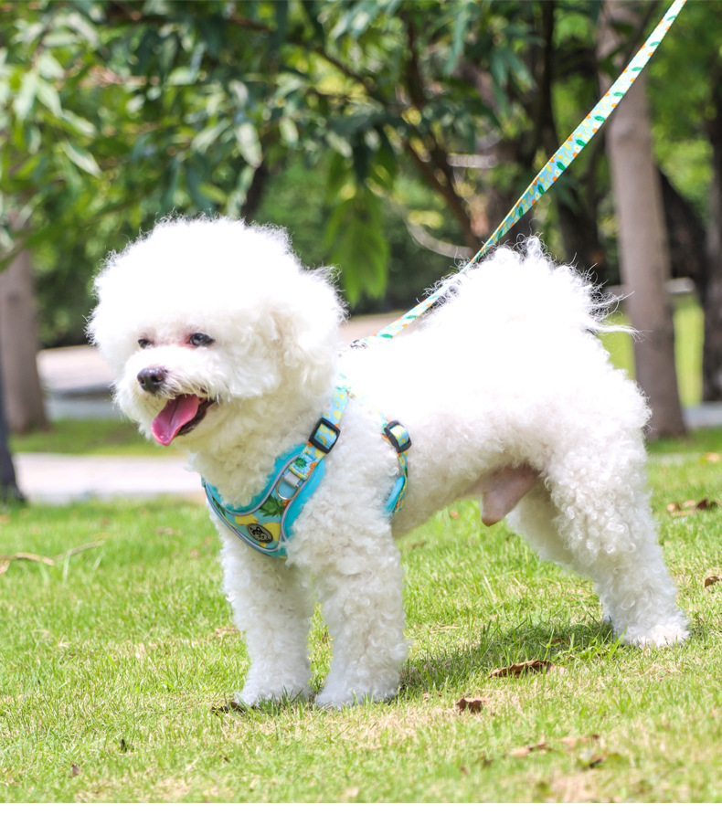 犬 ハーネス 快適お散歩ハーネス 爽やか軽量タイプ