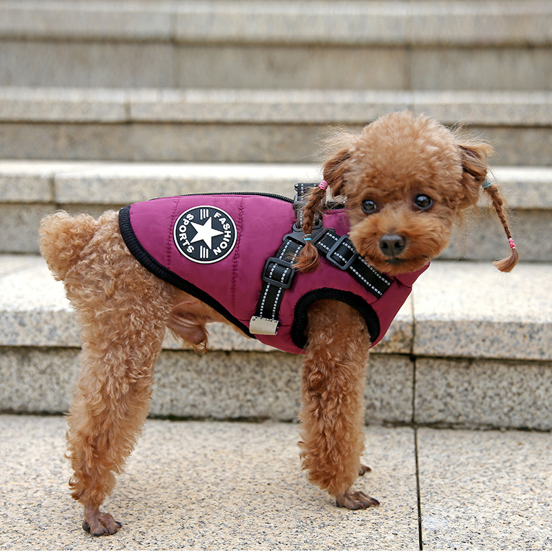犬 ハーネス 雪山用アウトドアハーネス