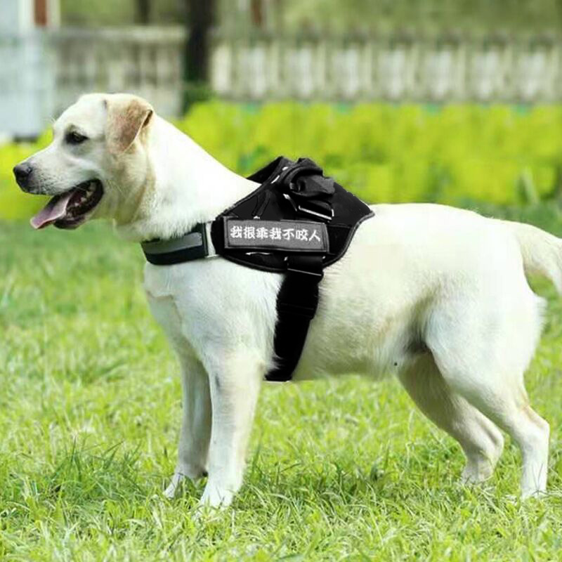 犬 ハーネス スタンダード 警備犬用ハーネス