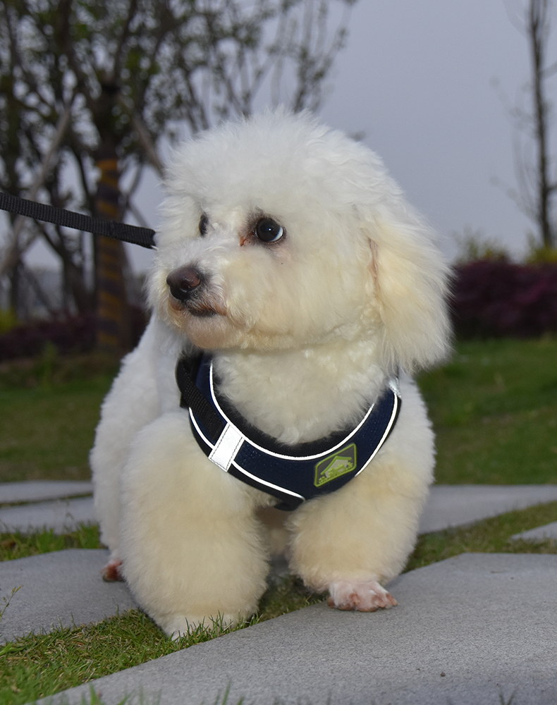 犬 ハーネス なめらか着心地 やすらぎハーネス