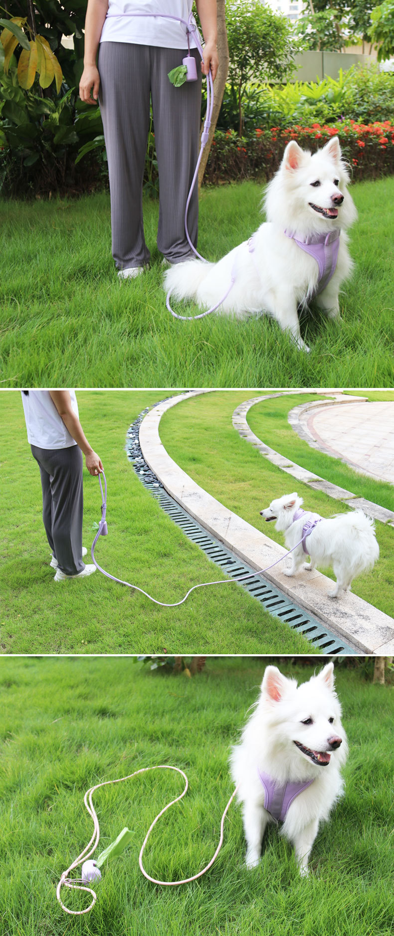 犬 ハーネス 大人の街歩きハーネス＆リードセット