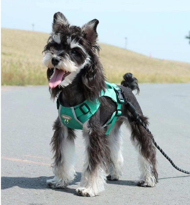 犬 ハーネス 職人こだわりやさしいハーネス