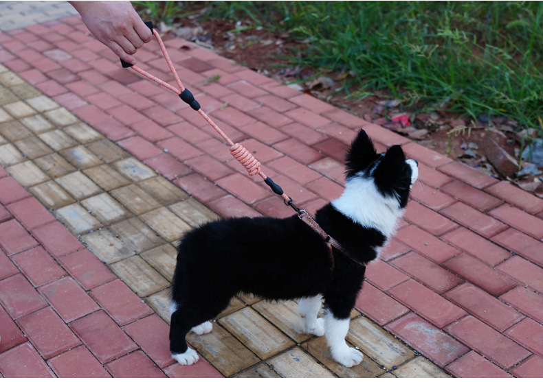 犬 ハーネス やさしさ結ぶ 散歩ハーネス