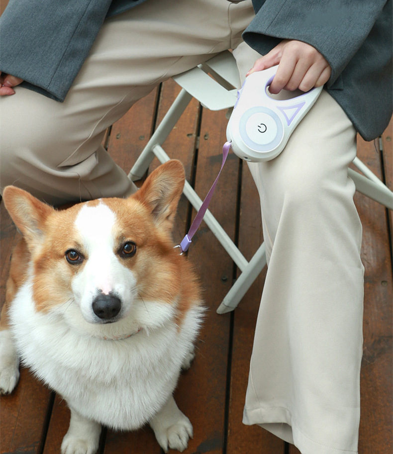 犬 ハーネス 光る安心ハーネス