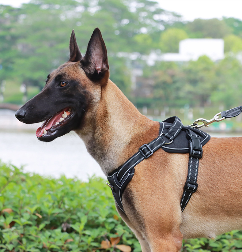 犬 ハーネス やさしフィットメッシュハーネス