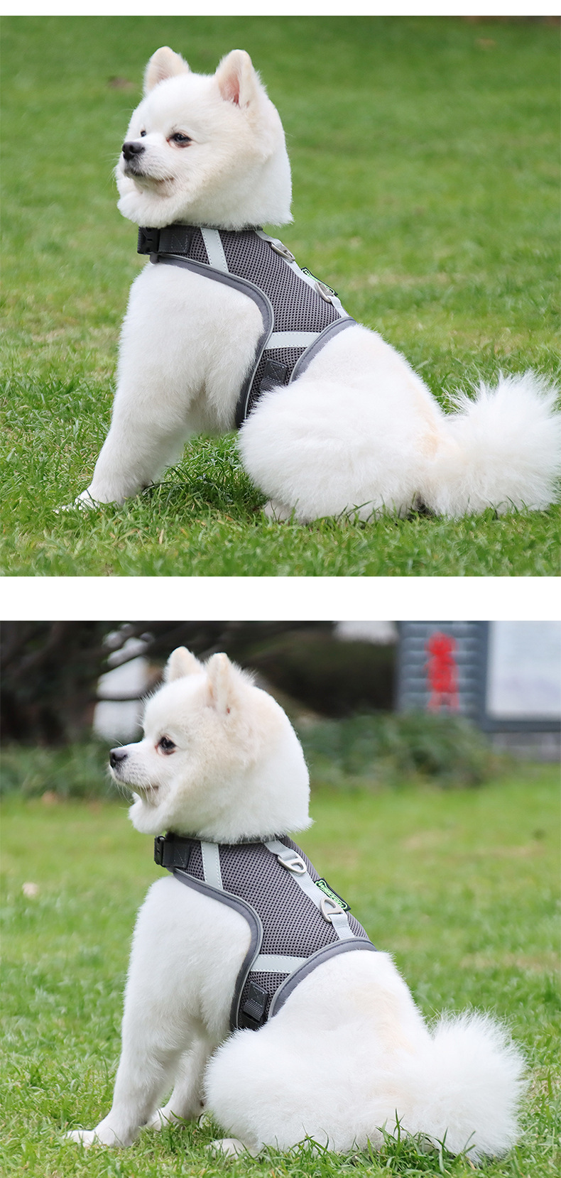 犬 ハーネス ふんわり快適メッシュハーネス