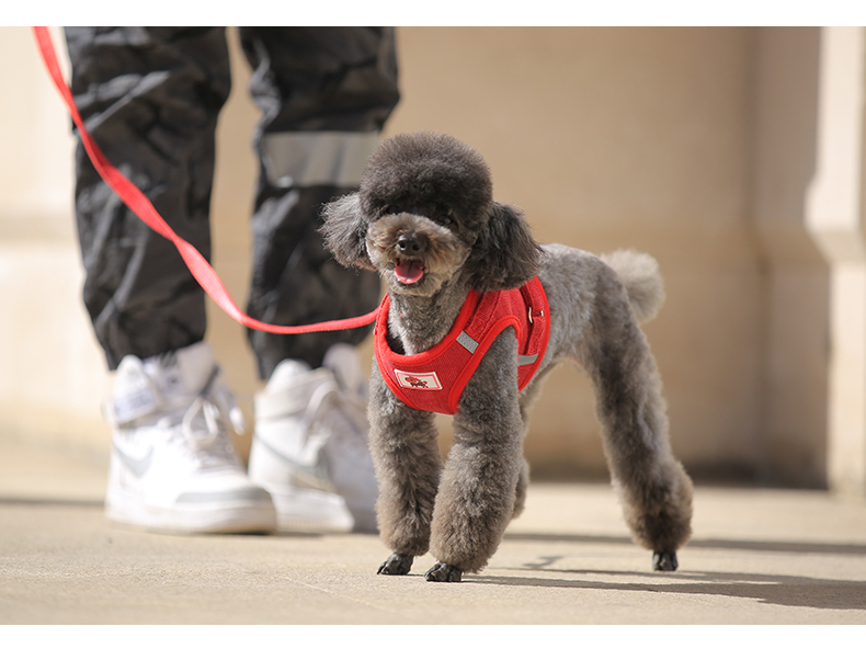 犬 ハーネス やさしい呼吸 フィット ハーネス