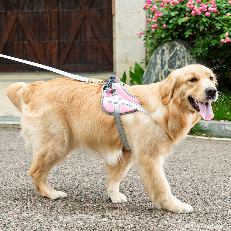 犬 ハーネス やさしさ包む 軽やか散歩ハーネス