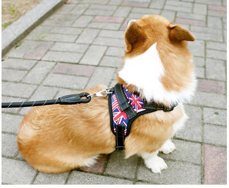 犬 ハーネス ベーシックアウトドアハーネス
