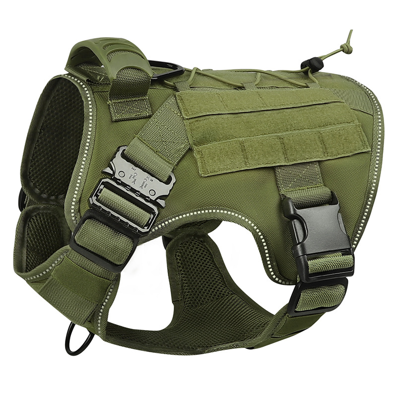 https://fulmo-img-server.com/wonderfulharness/46dad5c9-2954-44dd-ad05-2072b3e2fd14.jpg