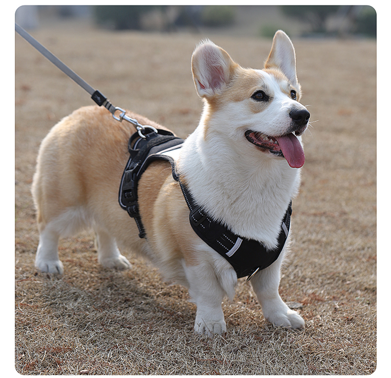犬 ハーネス アウトドア調 軽量ポケット付きペット用胴輪