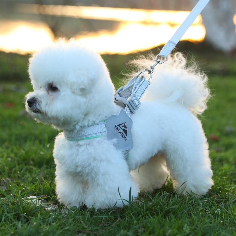 犬 ハーネス やさしい着け心地 ふんわりメッシュハーネス