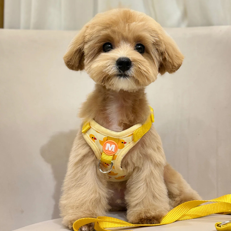 犬 ハーネス あひる柄のハーネス