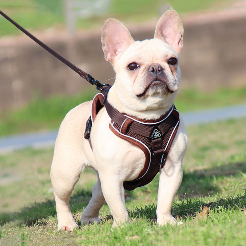 犬 ハーネス やわらか通気メッシュハーネス