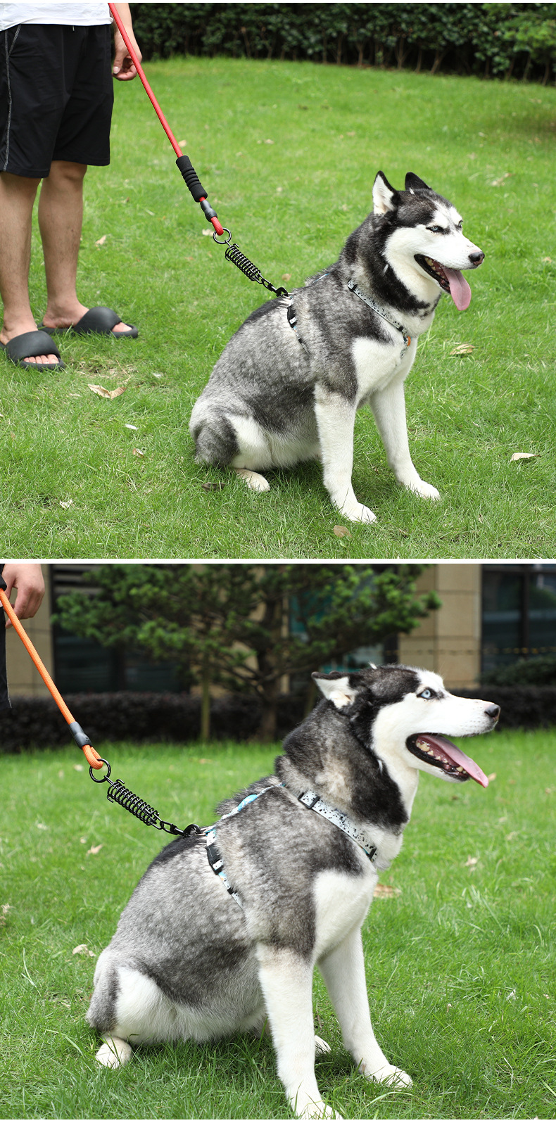 犬 ハーネス 快適ソフトグリップ 伸縮リーシュ