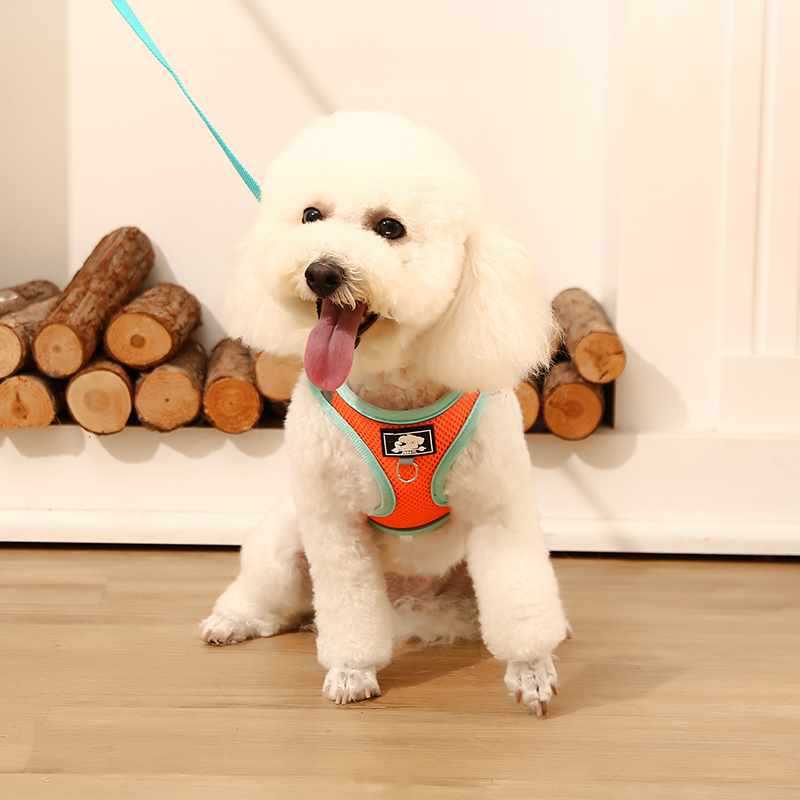 犬 ハーネス やわらか快適メッシュハーネス