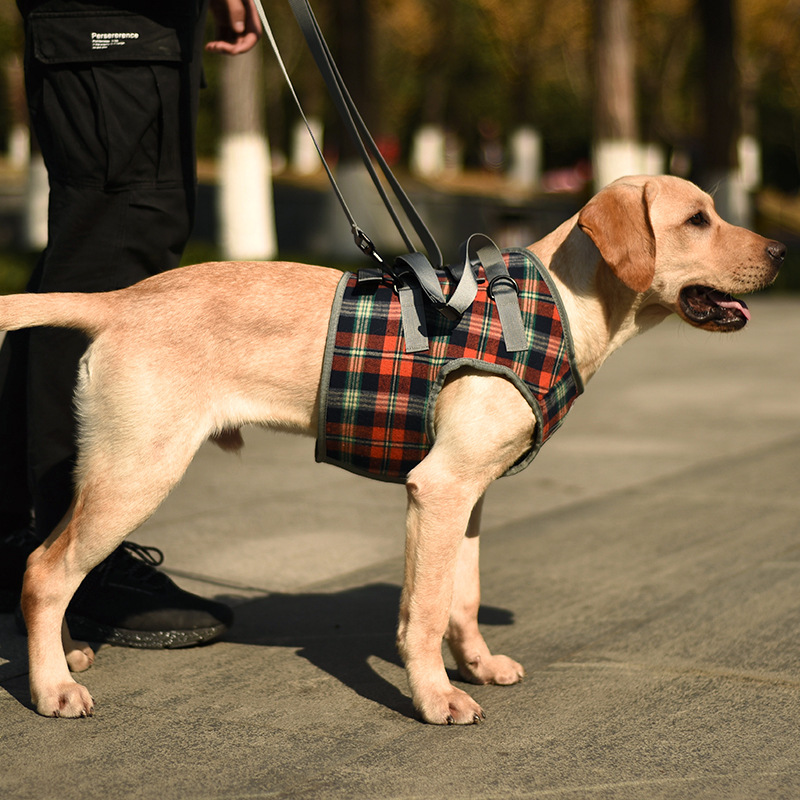 犬 ハーネス おでかけ安心ハーネス