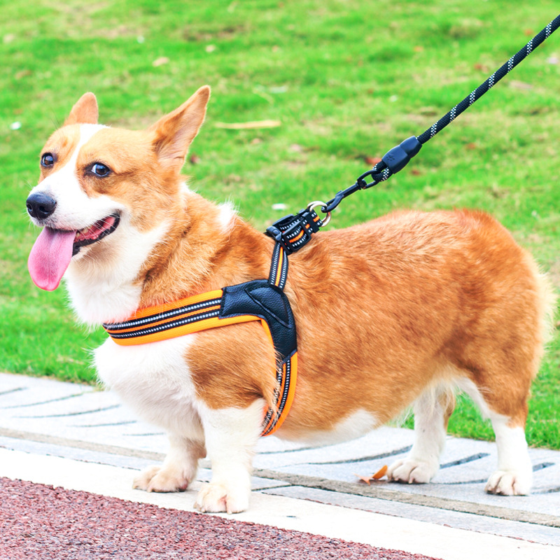 犬 ハーネス 上質ストレッチメッシュハーネス