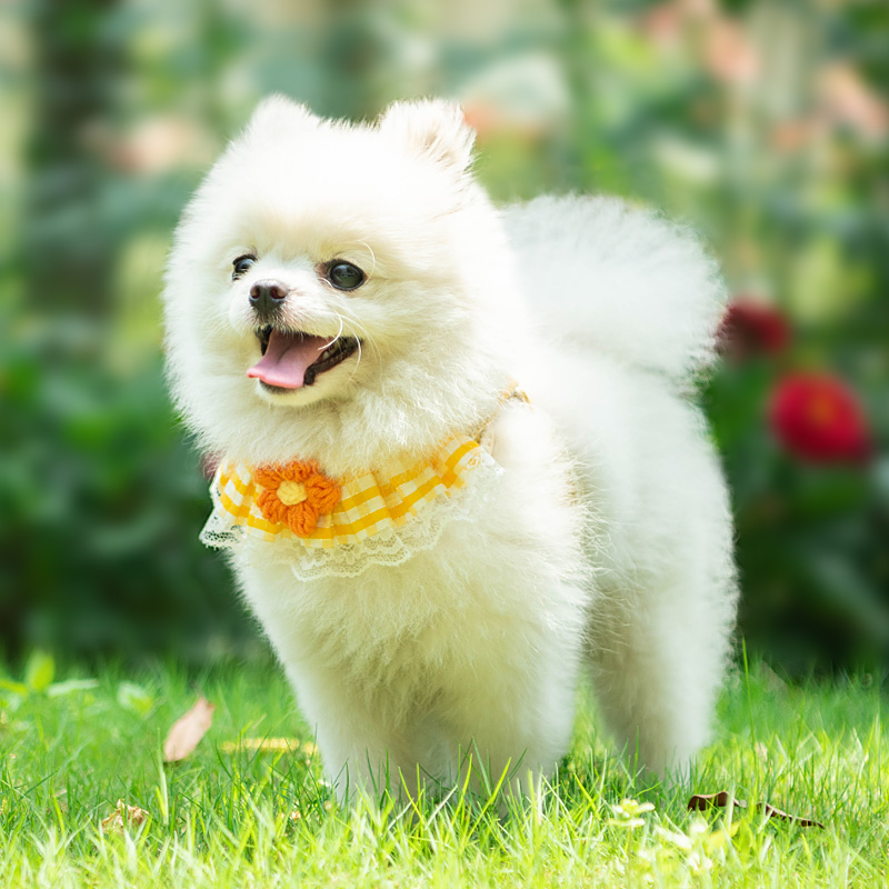 https://fulmo-img-server.com/wonderfulharness/4895148c-eb55-46d2-94b3-704d34ad4e5a.jpg