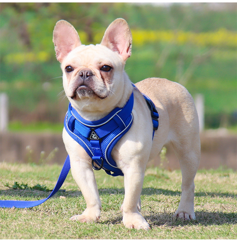 https://fulmo-img-server.com/wonderfulharness/48a8c933-e341-4773-ba0a-5abcf6fc5acb.jpg