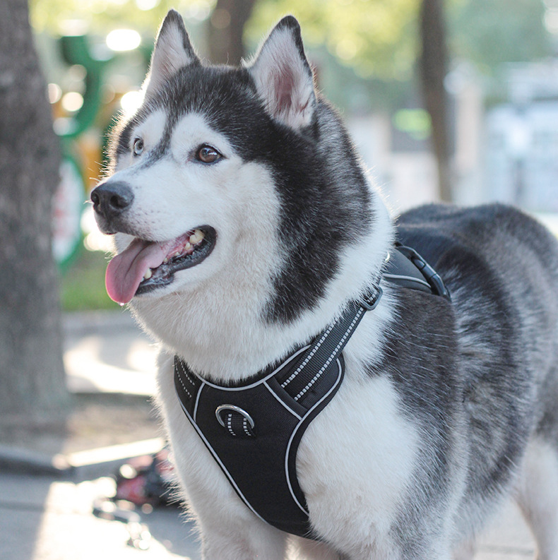 犬 ハーネス やさしフィットメッシュハーネス