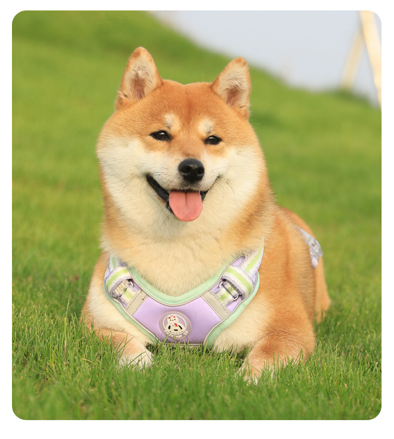 犬 ハーネス なめらか胸あて首輪 ソフトタイプ